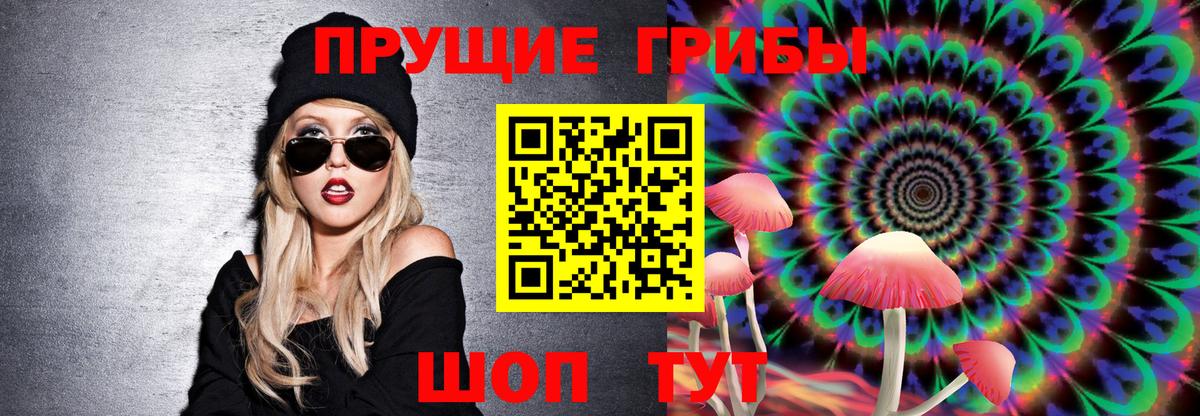 Псилоцибиновые грибы мицелий  Вход с VPN  Галлюциногенные грибы Psilocybe  Добрянка 