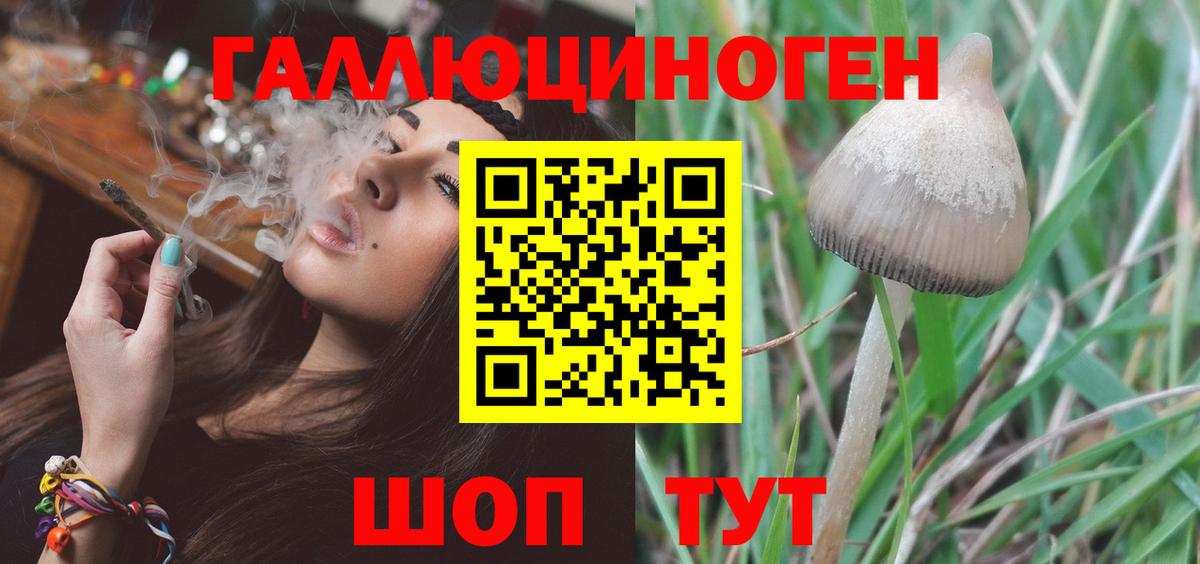 Галлюциногенные грибы MAGIC MUSHROOMS Добрянка